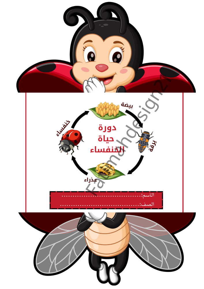 مطوية علوم الصف الثالث دورة حياة الخنفساء
