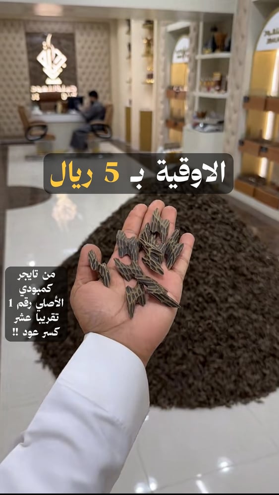 أوقية تايجر كمبودي بسعر رمزي