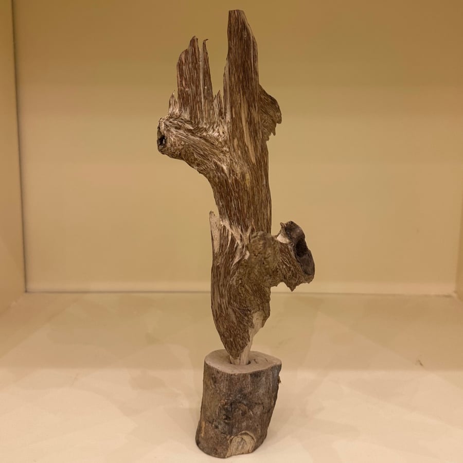 ديكور عود طبيعي