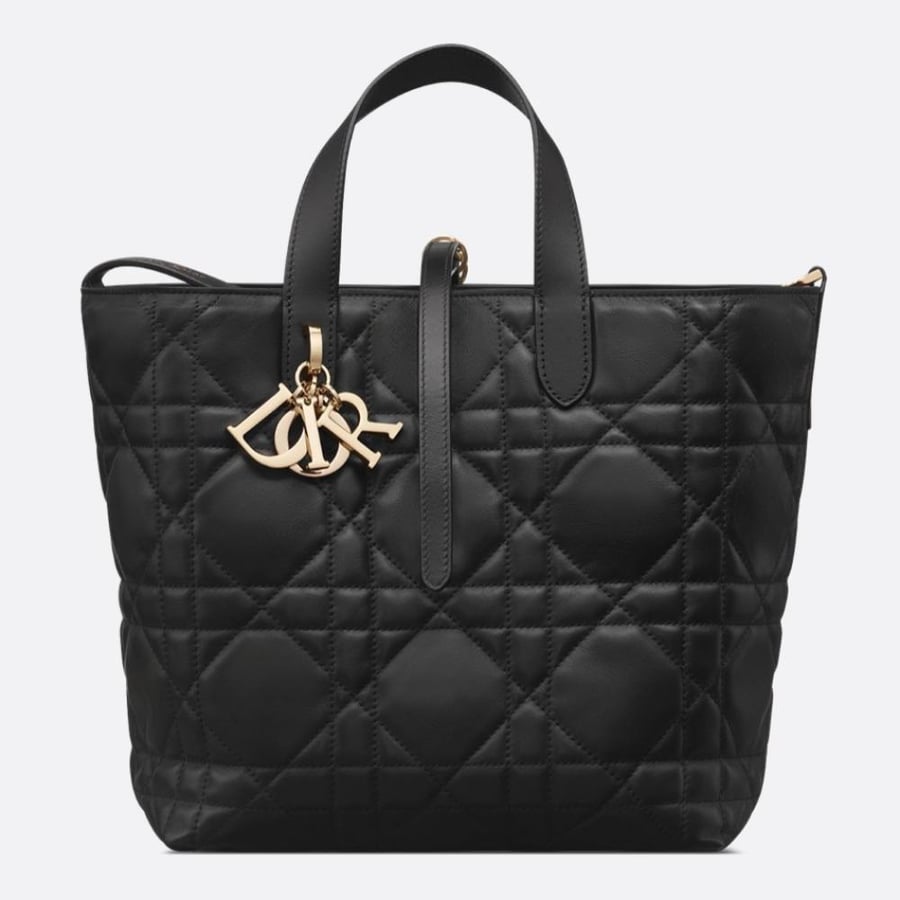 Medium Dior Toujours Vertical Tote Bag Black