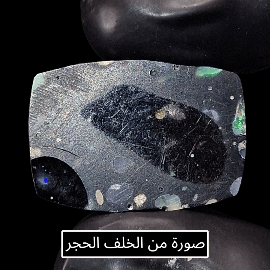 فص أحجار الاوبال الخام الرائع حديقة الأوبال مع بلاك ريزن