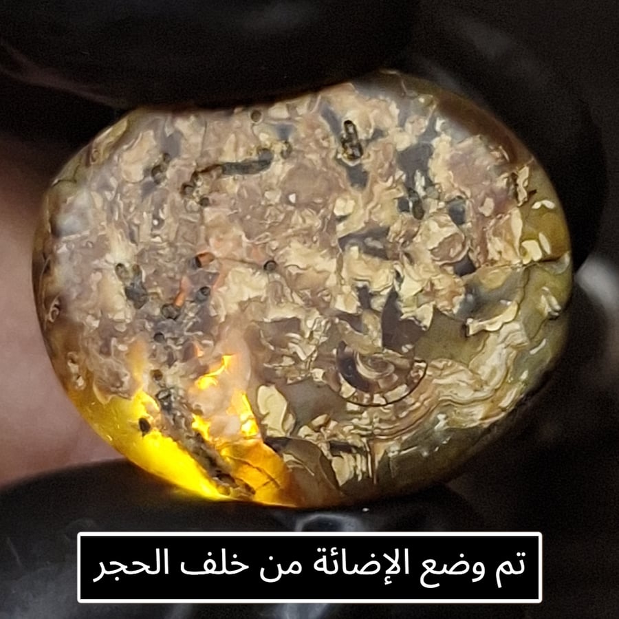عقيق بافوري
