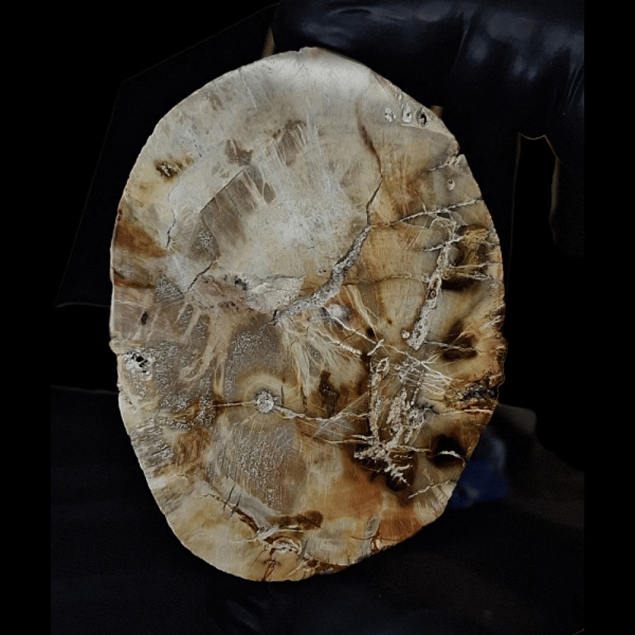 Natural raw agate stone, a masterpiece for collection or gifting