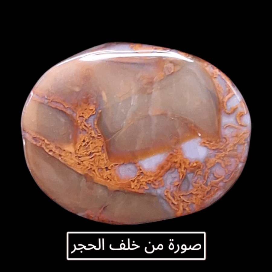 حجر عقيق طحلبي مشجر احمر طبيعي