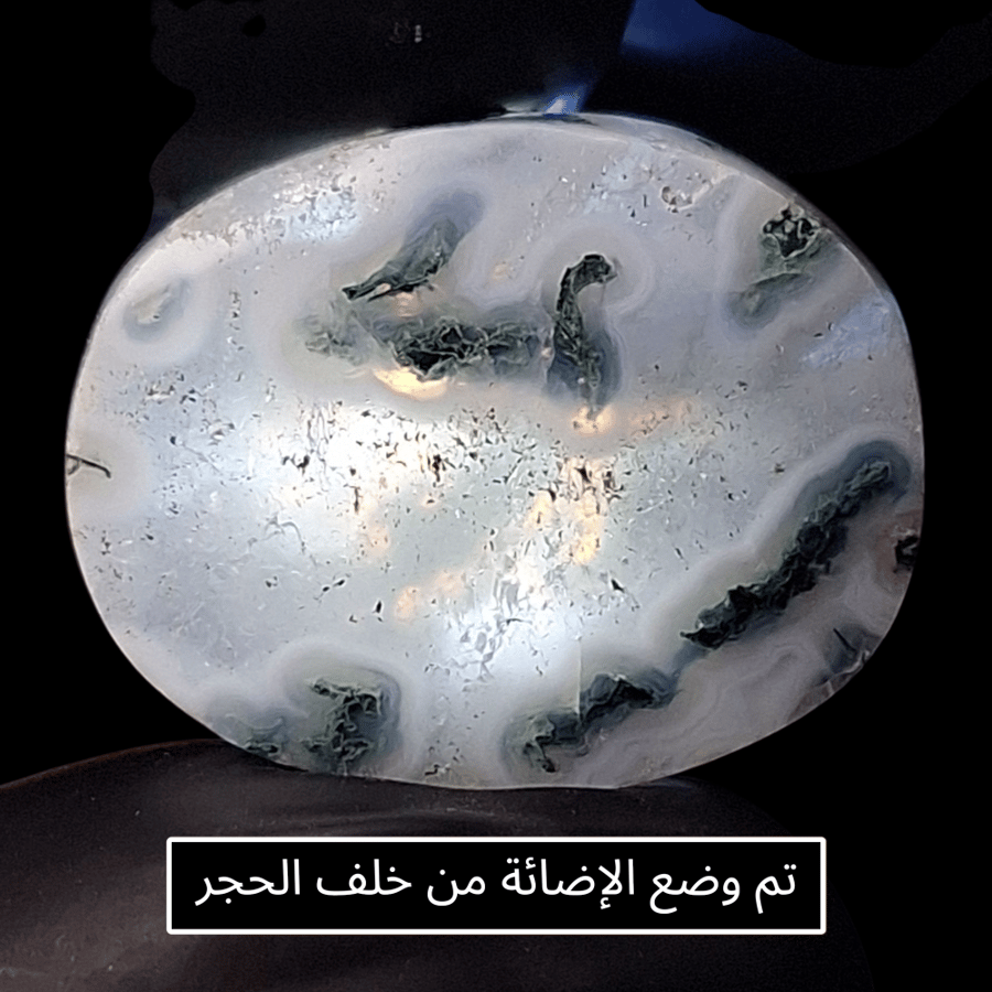 حجر عقيق طحلبي ابيض مشجر طبيعي