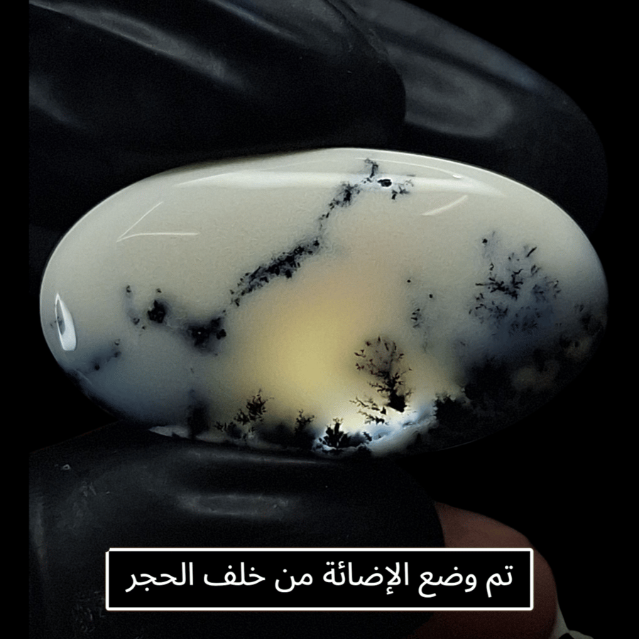حجر اوبال شجري طبيعي