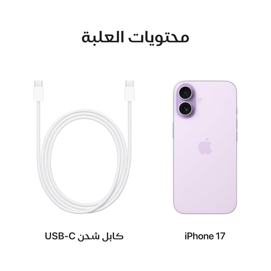 iPhone 17