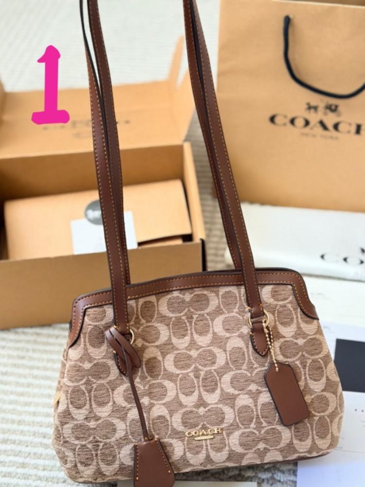 Coach Elisa new bag