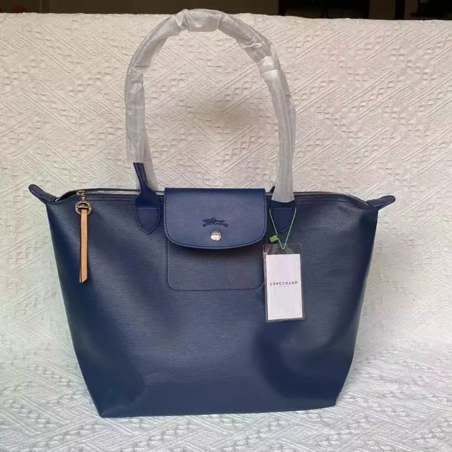 Longchamp leather Blue