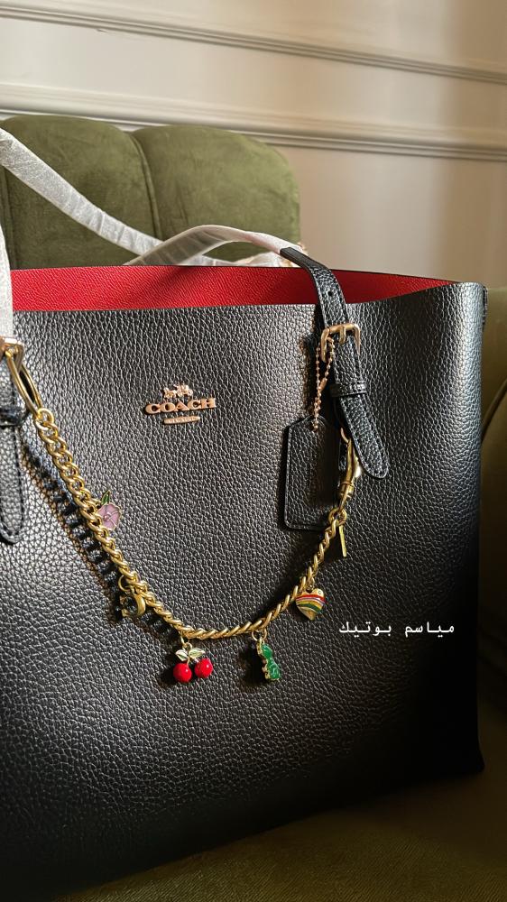 Coach mollie tote bag