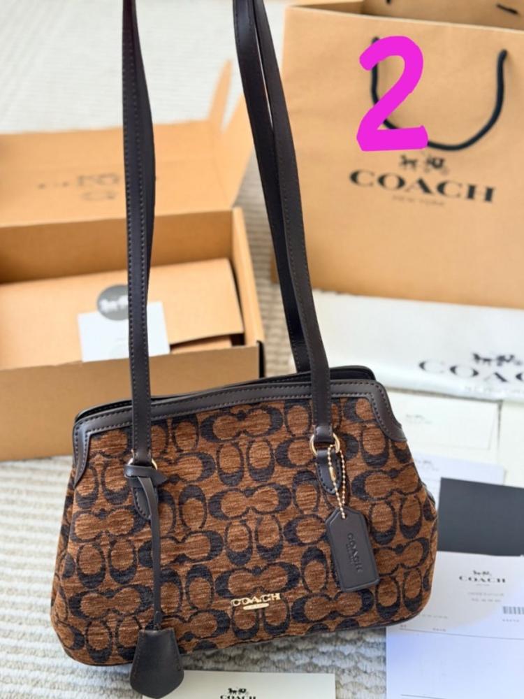 Coach Elisa new bag