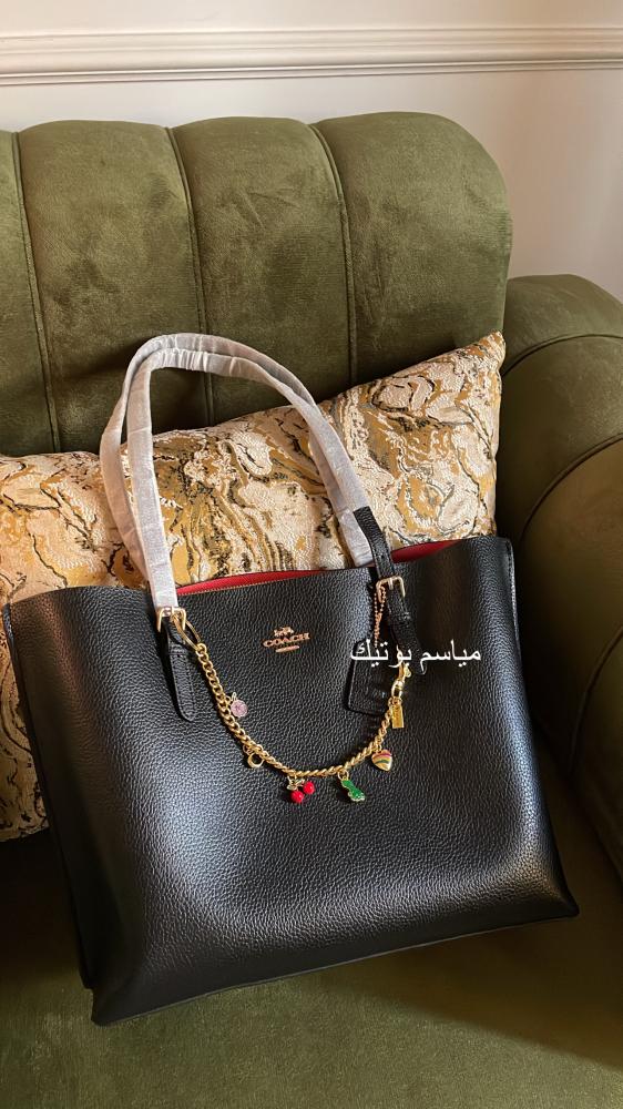 Coach mollie tote bag