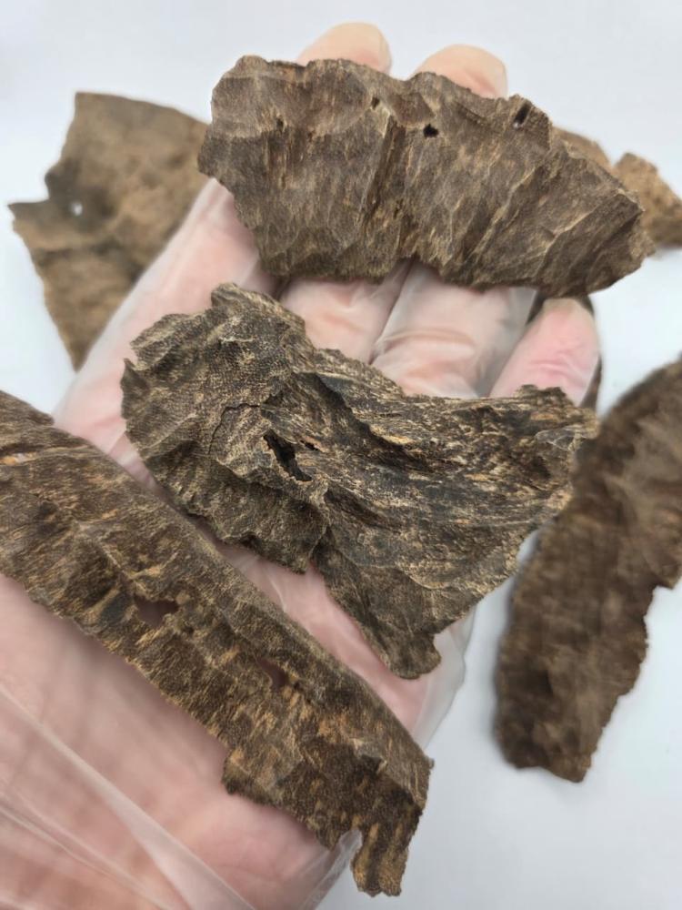 هندي تشار غاروهيلز فاخر
