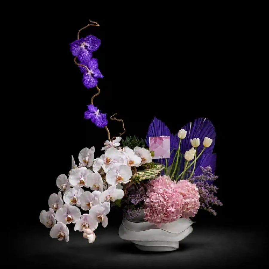 Orchidée Éclipse