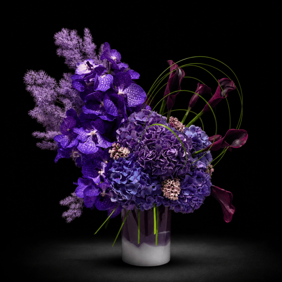 Violet Dynasty