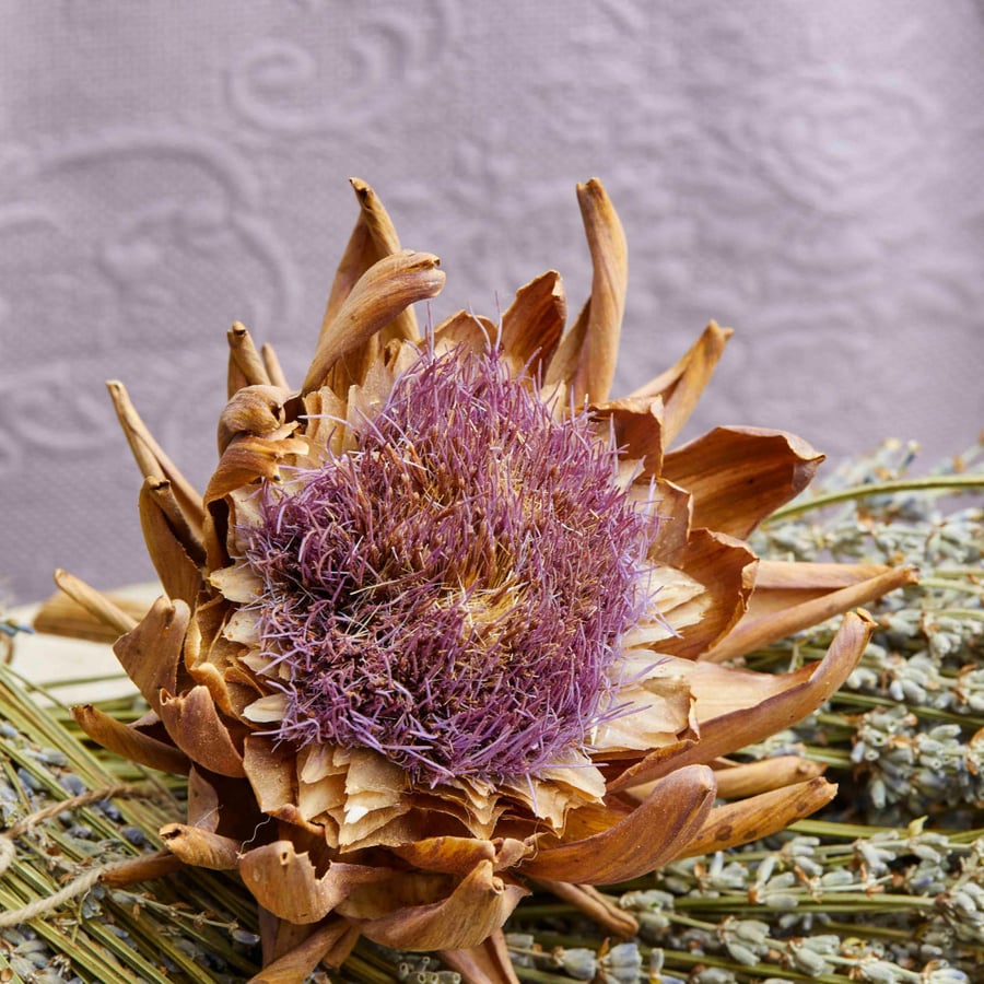طقم مفارش مزدوج كوين Garden