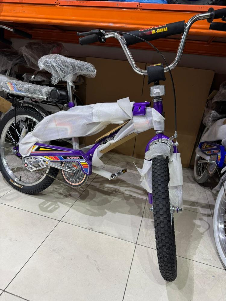 Rambo purple bicycle size 20