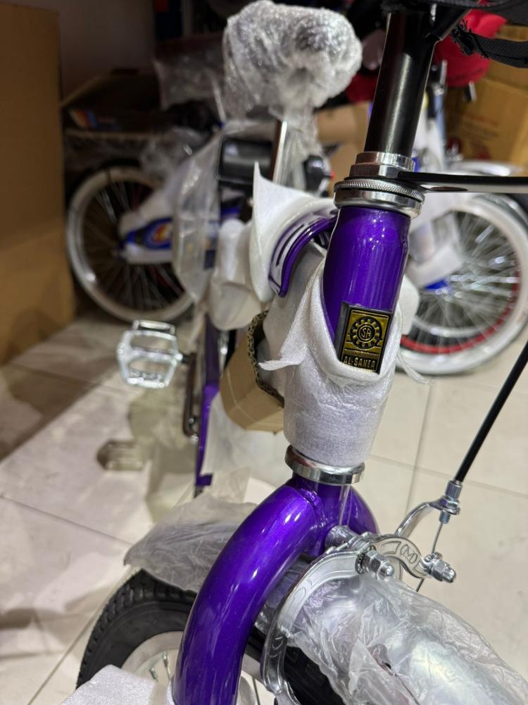 Rambo purple bicycle size 20