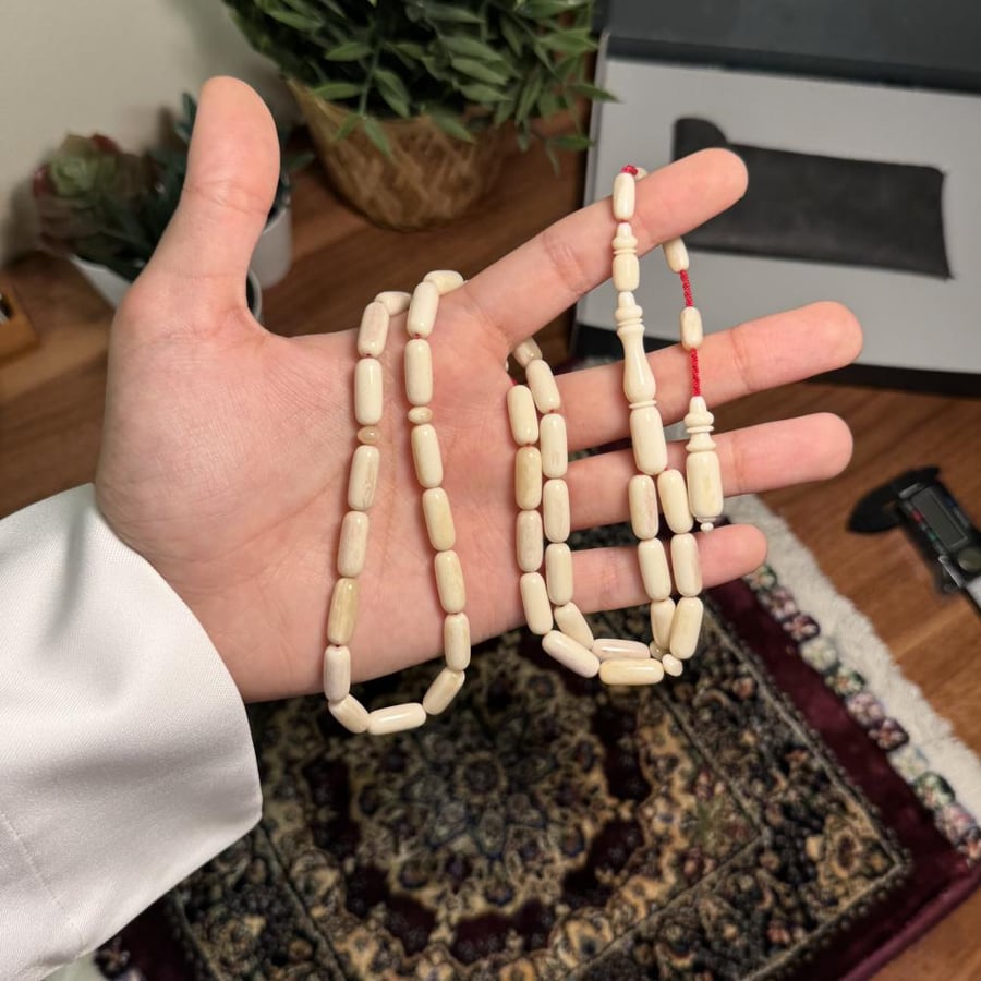 مسباح عضم جمل - صنوبري