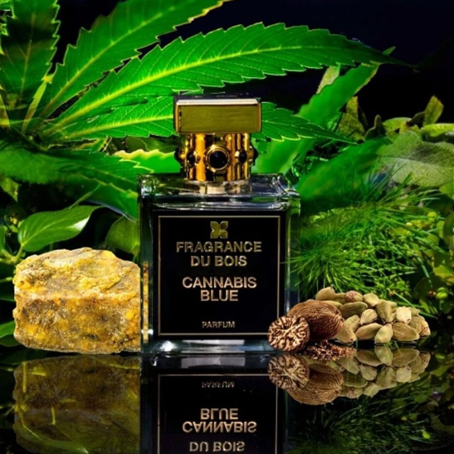 عطر فراغرنس دو بوا كانابيس بلو 100 مل