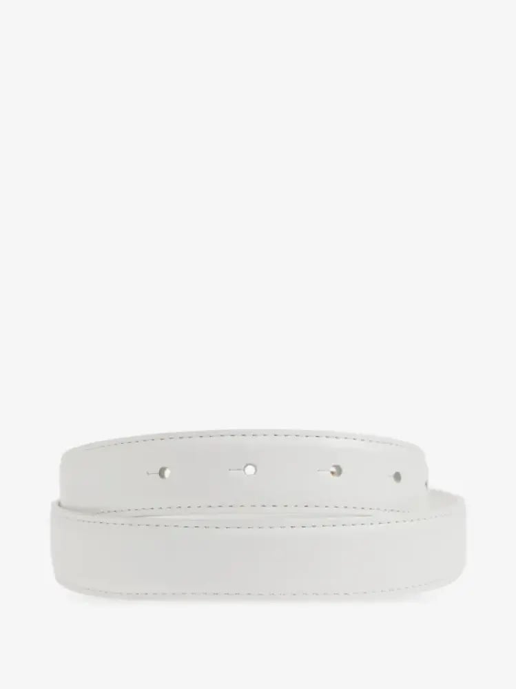 حزام D&G