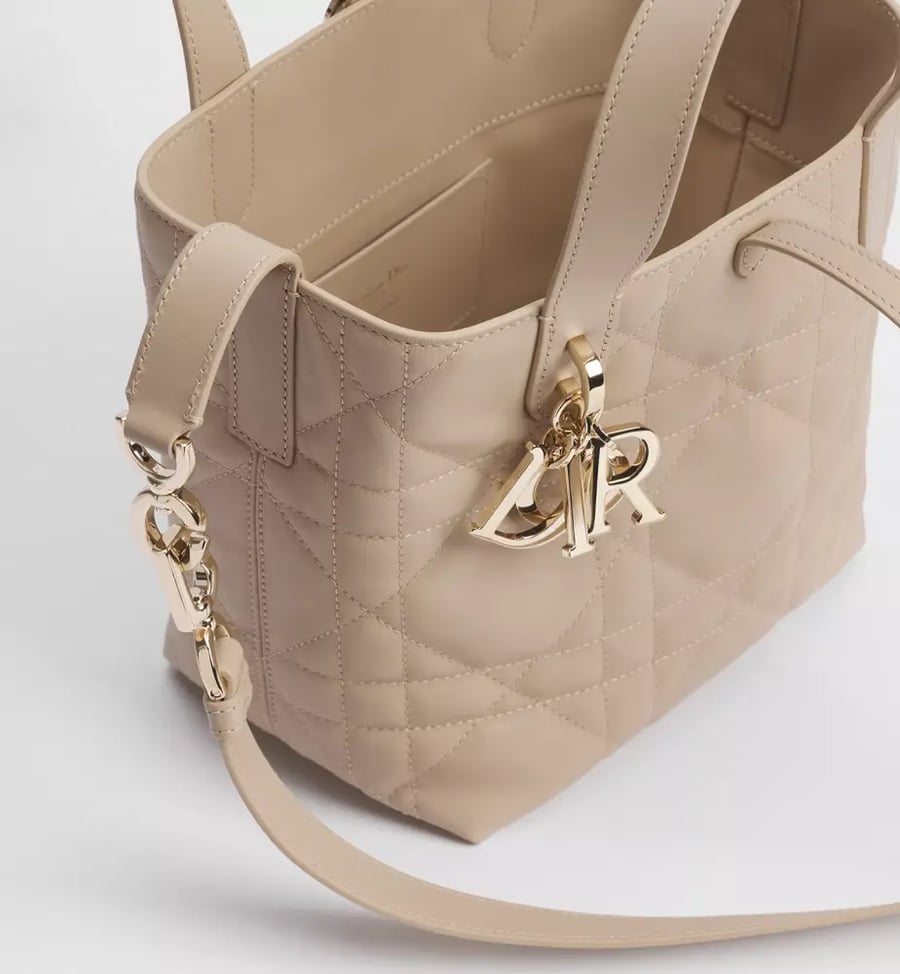 حقيبة DIOR