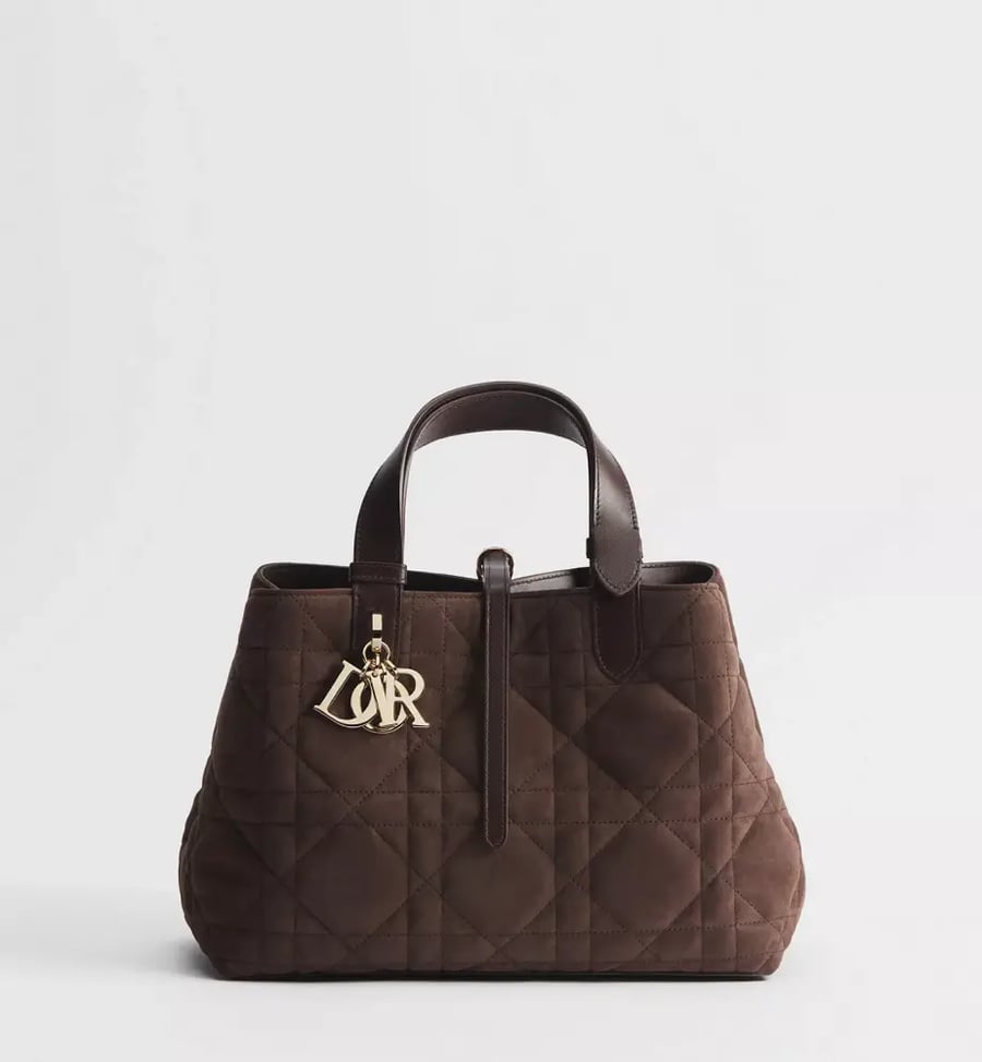 حقيبة DIOR
