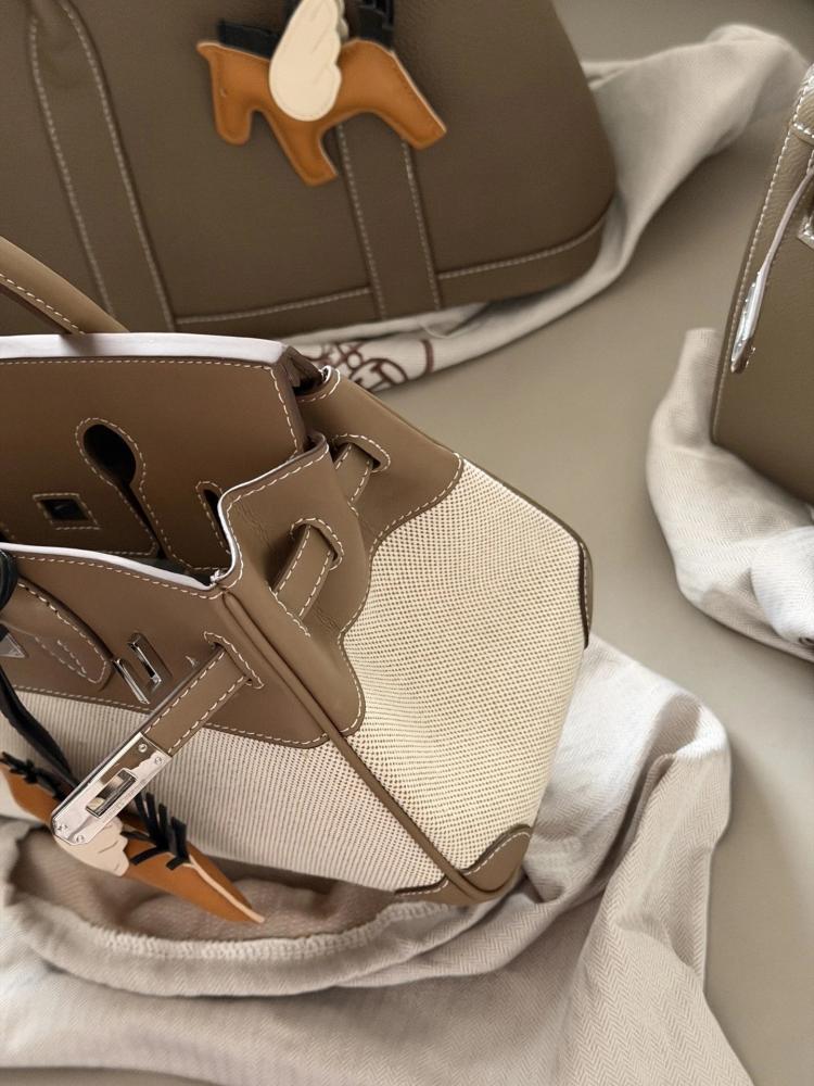 حقيبة Hermes Birkin 25 Canvas