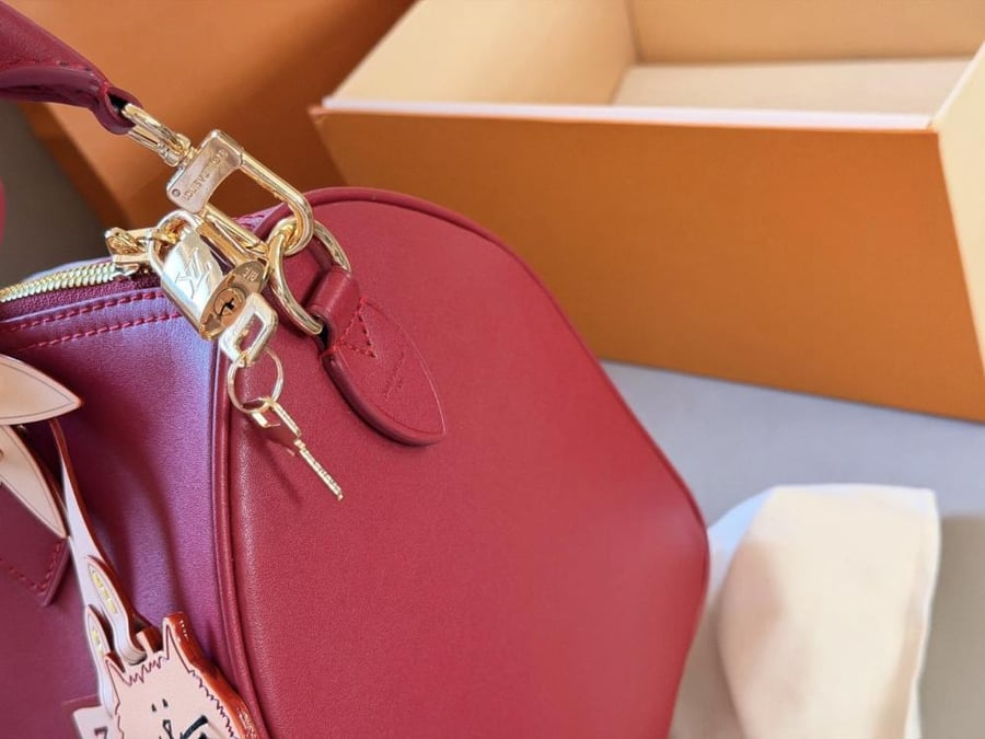 حقيبة Louis Vuitton Burgundy Cat Speedy 30