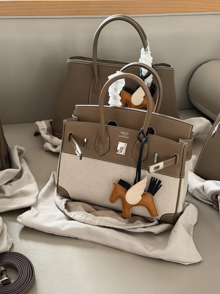 حقيبة Hermes Birkin 25 Canvas