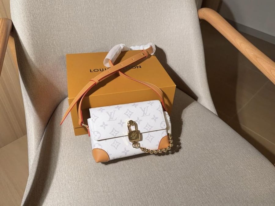 حقيبة Louis Vuitton Steamer
