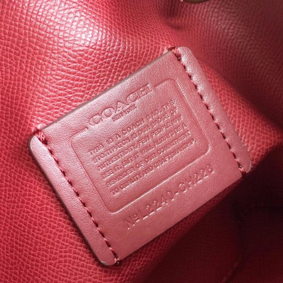 حقيبة Coach Mollie Tote 25