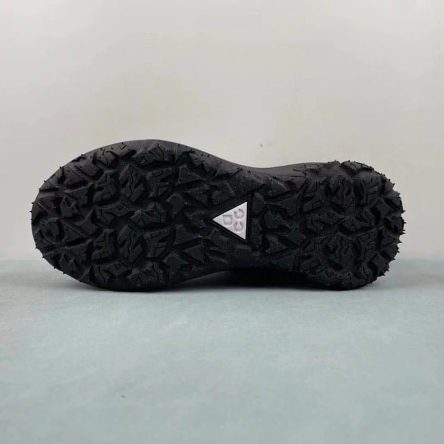 شوز Nike ACG Mountain Fly 2 Low