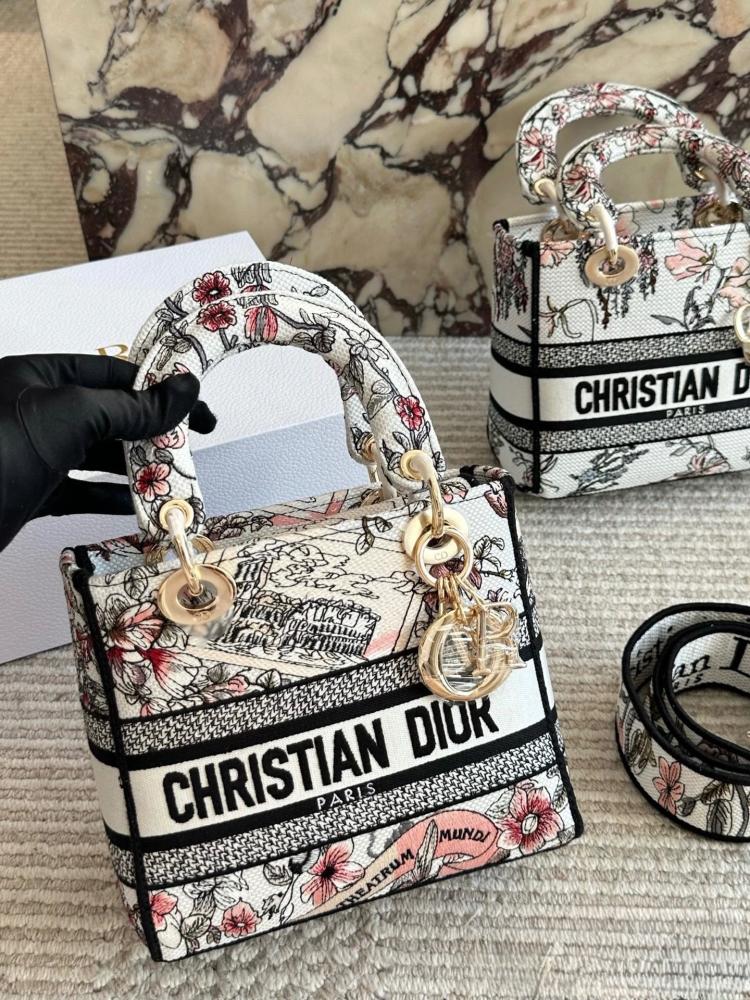 حقيبة Dior Embroidered Lady