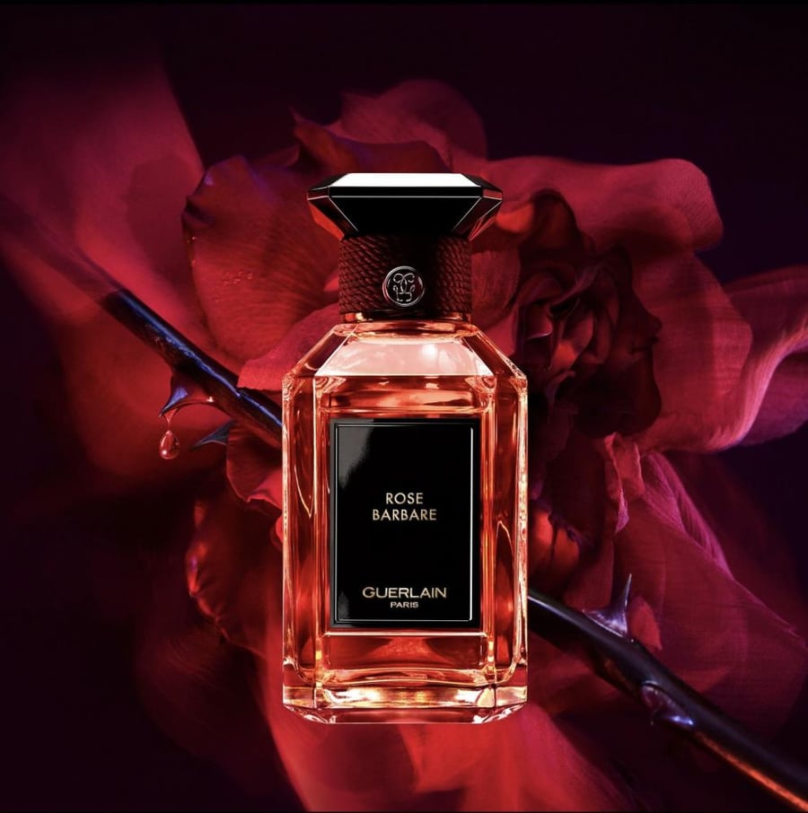 روز باربار Rose Barbare