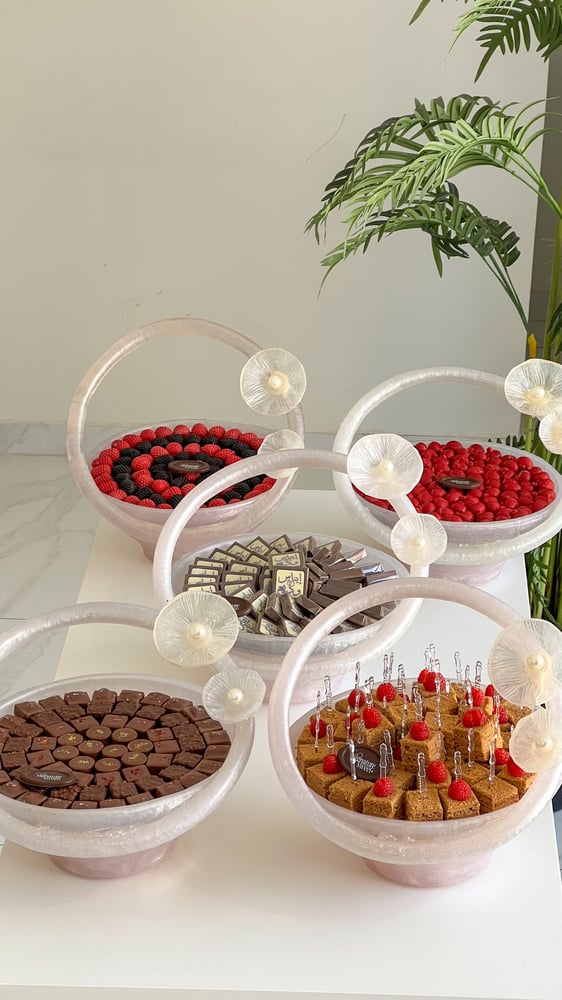 Package of 5 trays