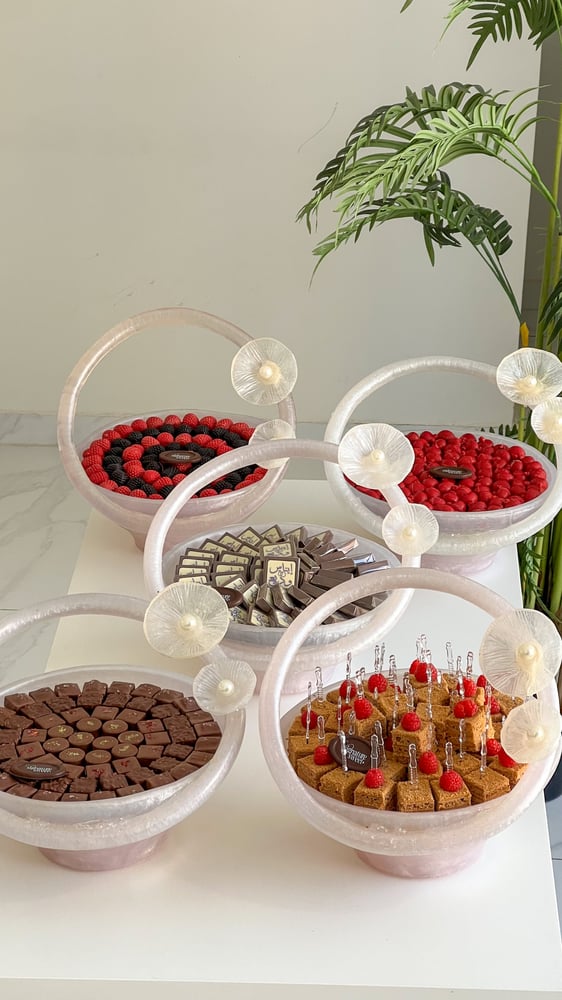 Package of 5 trays