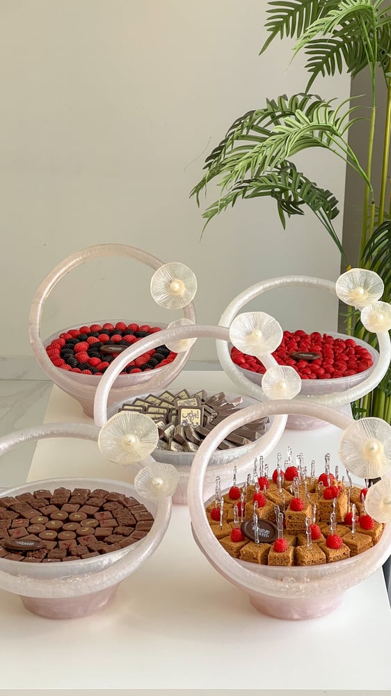 Package of 5 trays