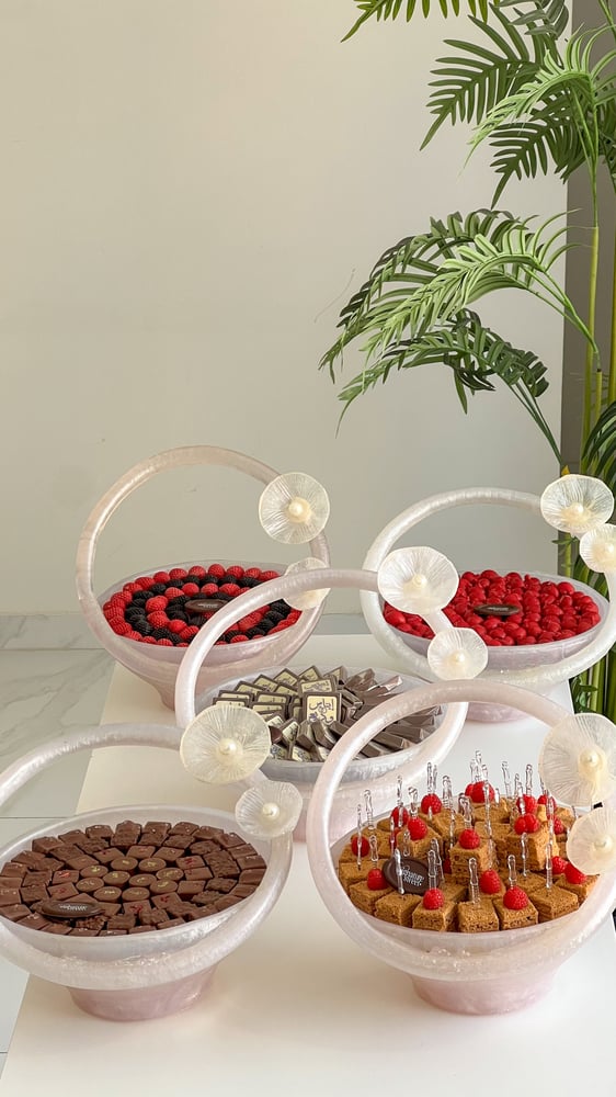 Package of 5 trays