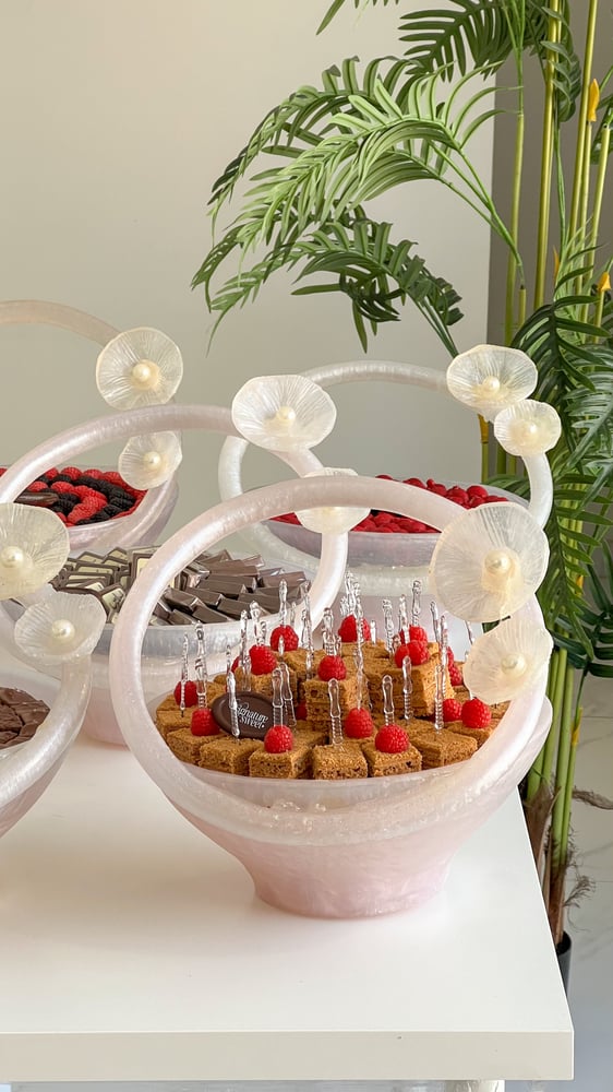 Package of 5 trays