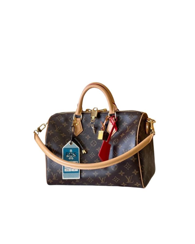 Louis Vuitton bag - brown color