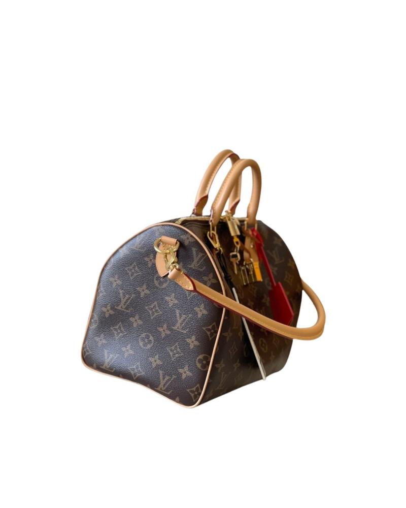 Louis Vuitton bag - brown color