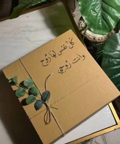 بلوفر الاتحاد ETHAD 1927 اوفر سايز