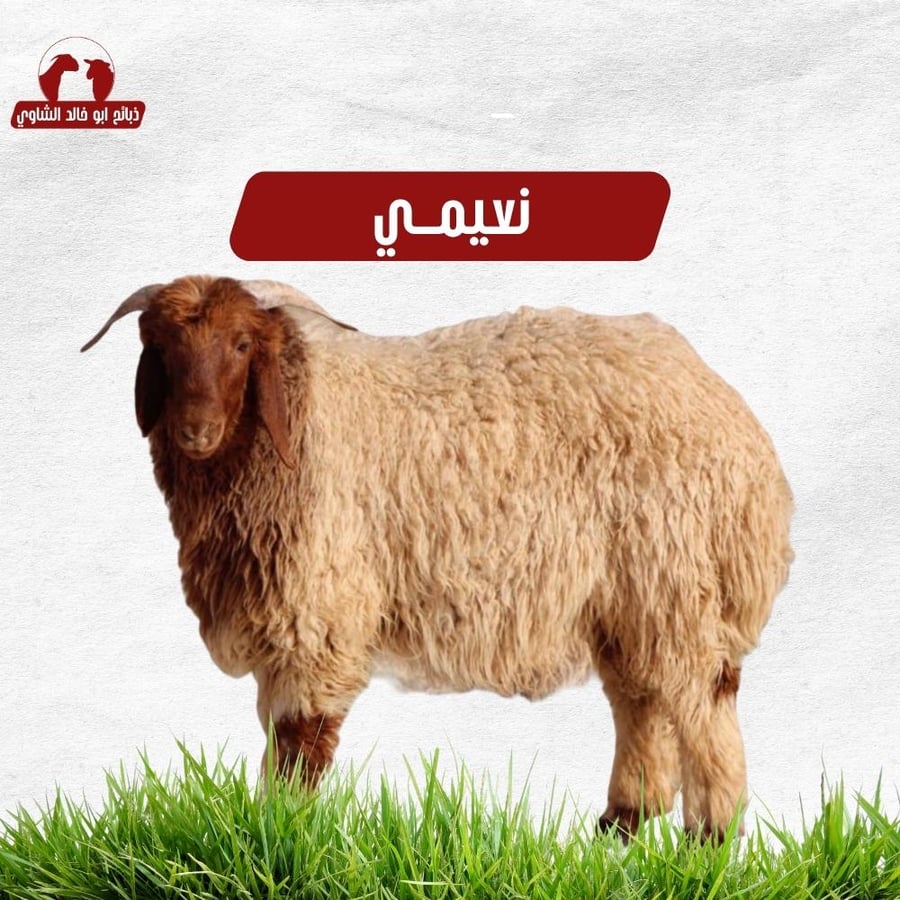 هرفي