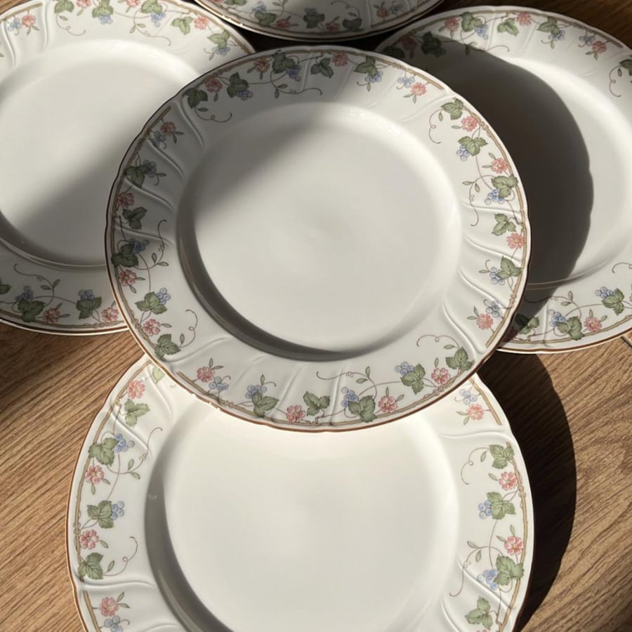 A set of 5 vintage and rare plates | Produced by the Japanese company Noritake, within the "Viny Song" production line.
