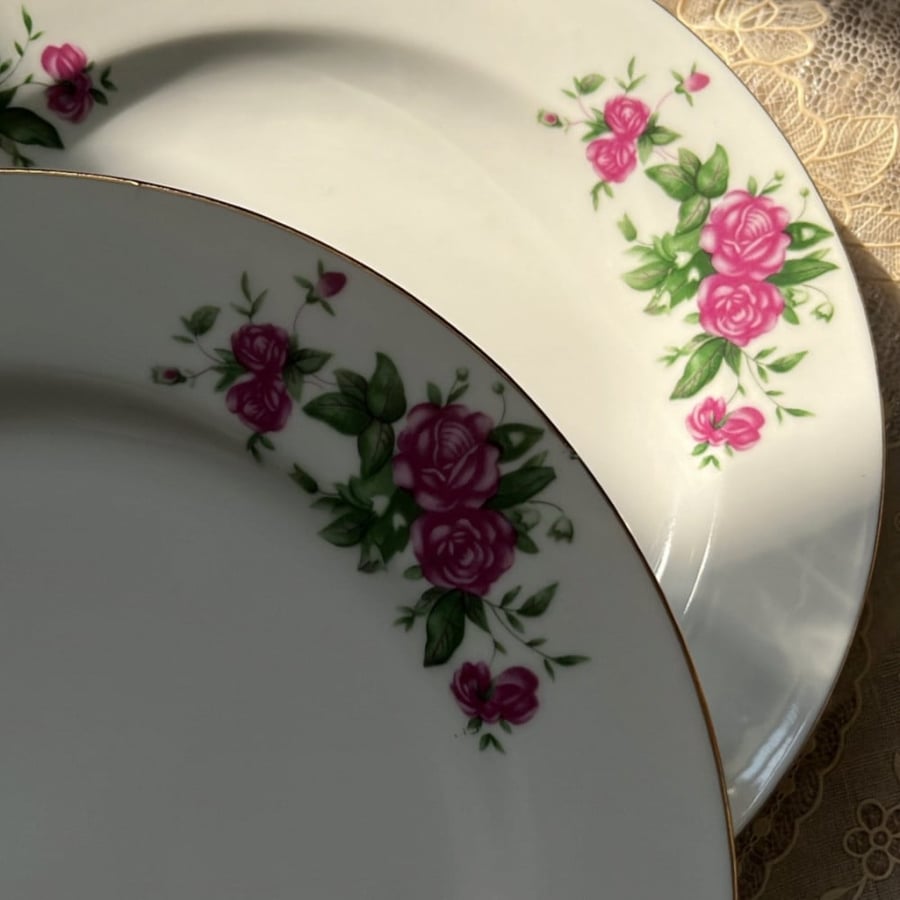 Dish صحن مورد اصدار قديم مخزن