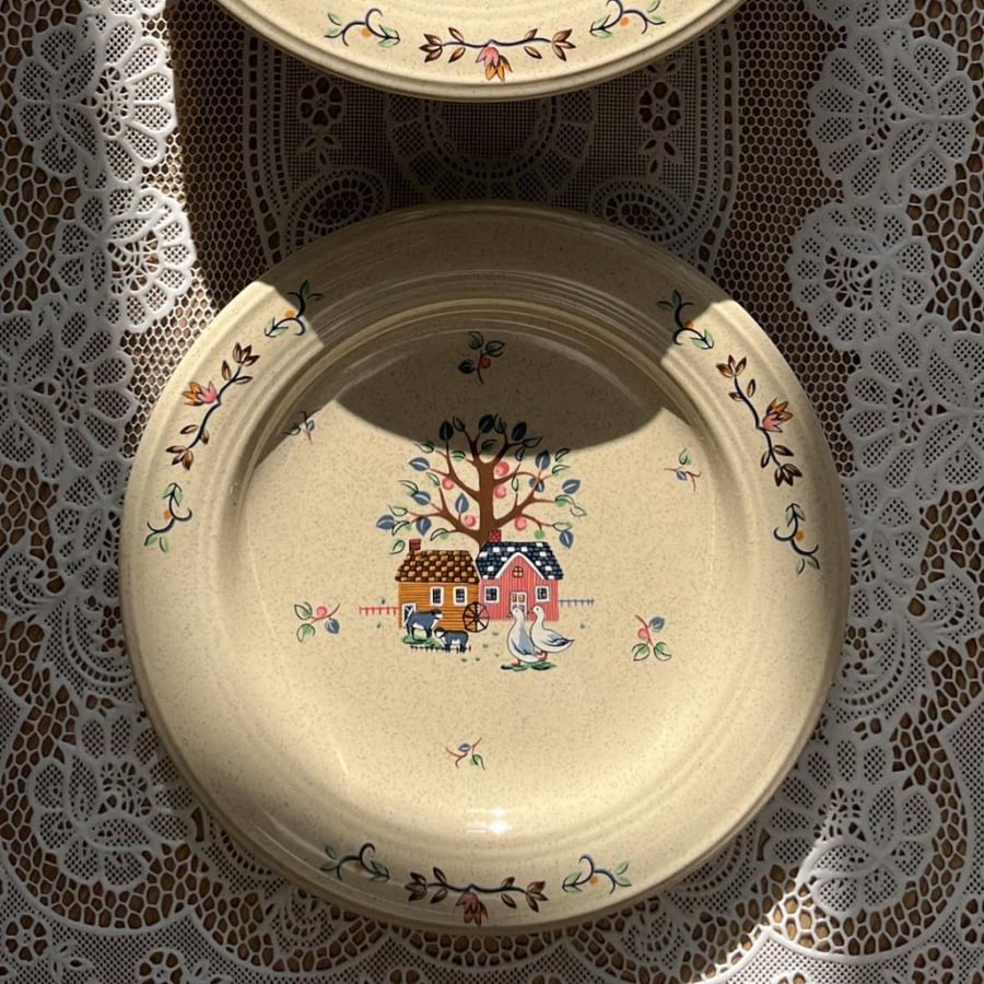 Set of 6 Japanese-made vintage and rare plates