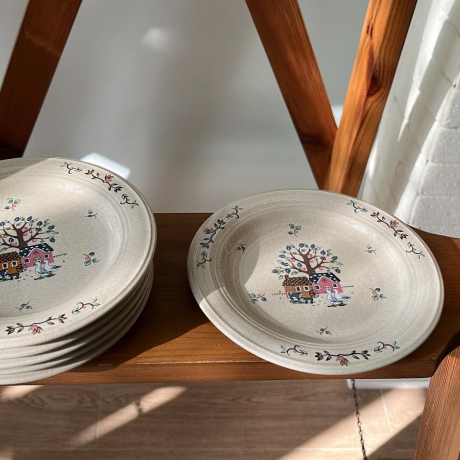 Set of 6 Japanese-made vintage and rare plates