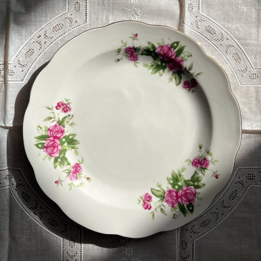 supplier dish | vintage