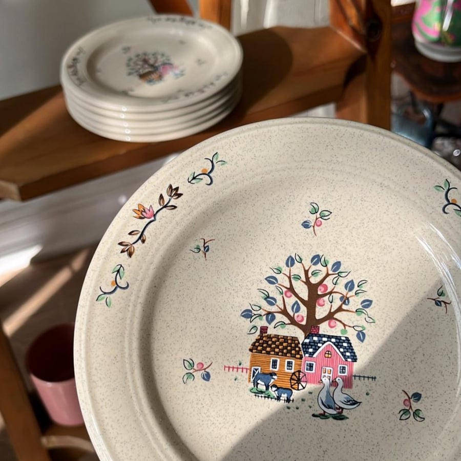 Set of 6 Japanese-made vintage and rare plates